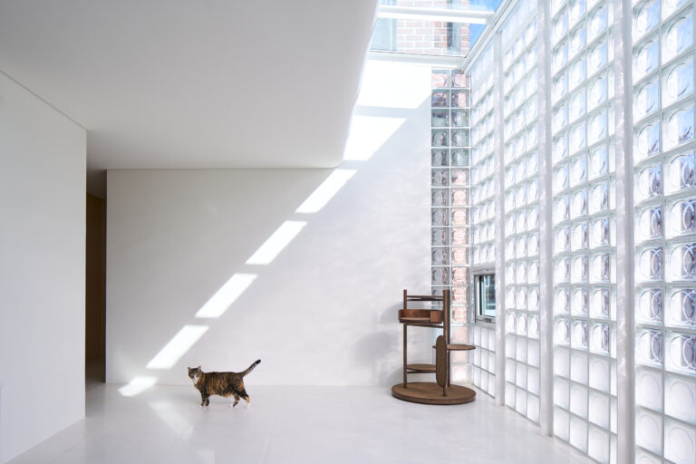 벽돌집의 투명한 변신, Mews Glass House