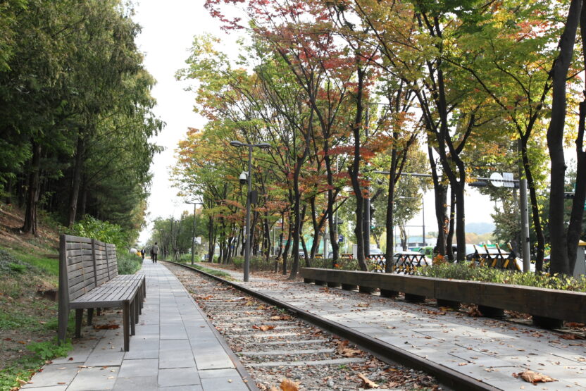 미술관에서 만난 한국 1세대 조경가 7 5 경춘선숲길 철교 전경 2018. 작가 소장