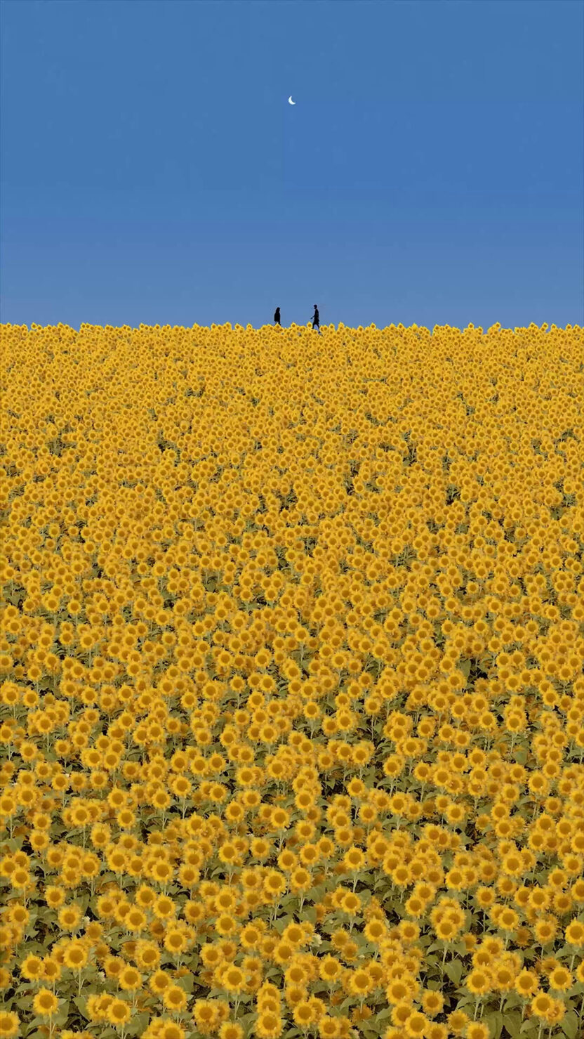 당신을 위한 유토피아가 여기에 6 Everybody Loves The Sunshine 2023 Digital LOW