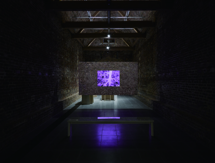 판타스틱한 포르마 판타스마 (Forma Fantasma) 2 200724000000073 O 1