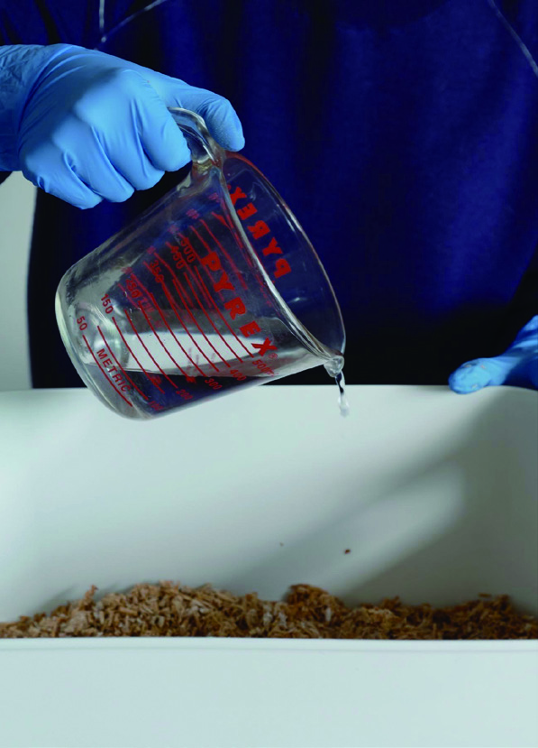 버섯 균사체로 탈을 만든 디자이너, 구오듀오 (Mushroom Mycelium Mask) 7 220328000001155 O 1