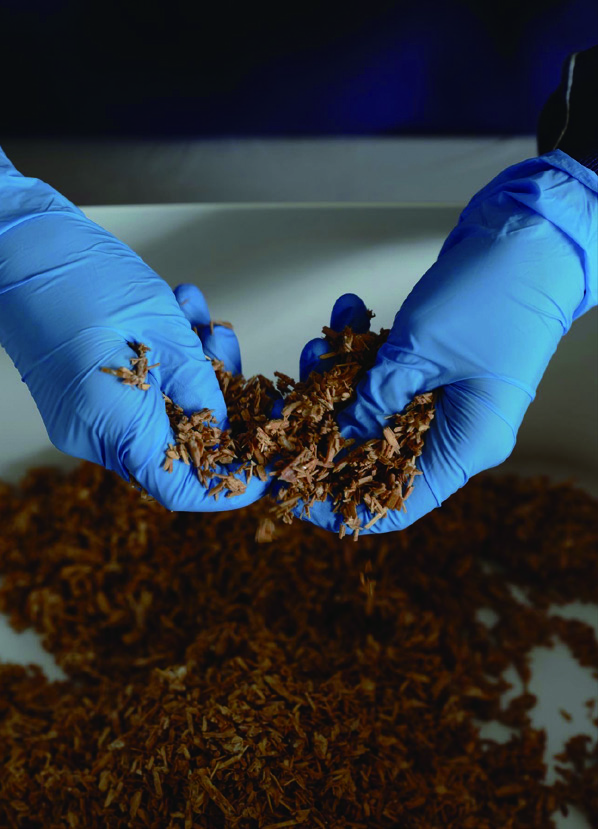 버섯 균사체로 탈을 만든 디자이너, 구오듀오 (Mushroom Mycelium Mask) 8 220328000001156 O 1