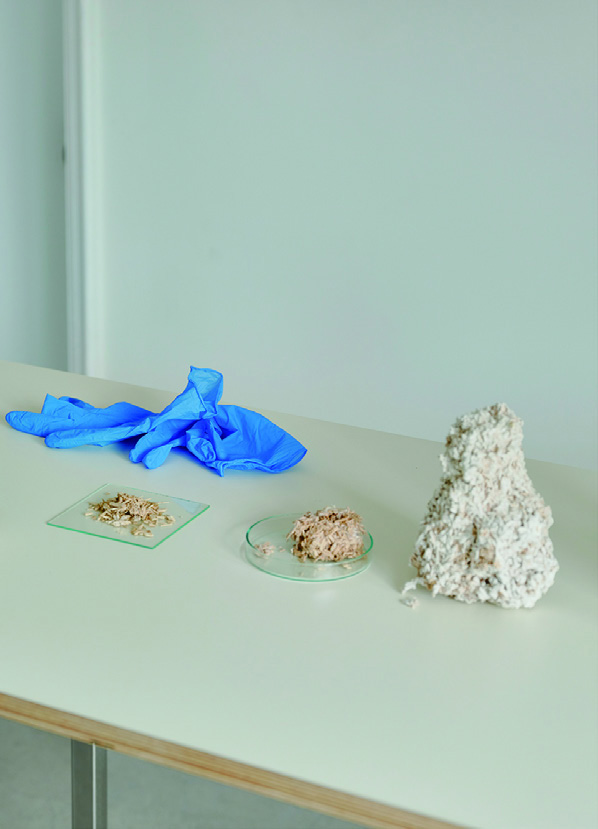 버섯 균사체로 탈을 만든 디자이너, 구오듀오 (Mushroom Mycelium Mask) 9 220328000001157 O 1