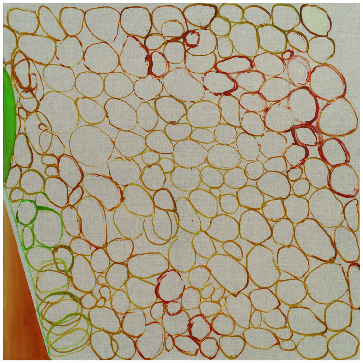 230227000000320 O