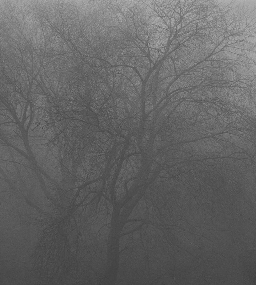 시가렛 애프터 섹스가 선택한 한국 사진작가, 민병헌 8 deep fog