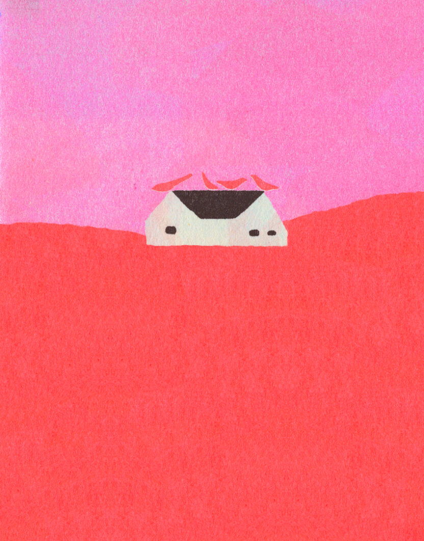 LittleBird 6