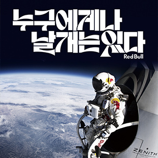 레드불 브랜딩