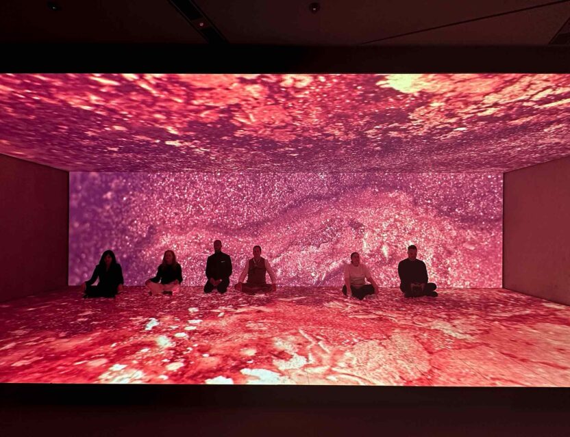OMA Space Inner power 14