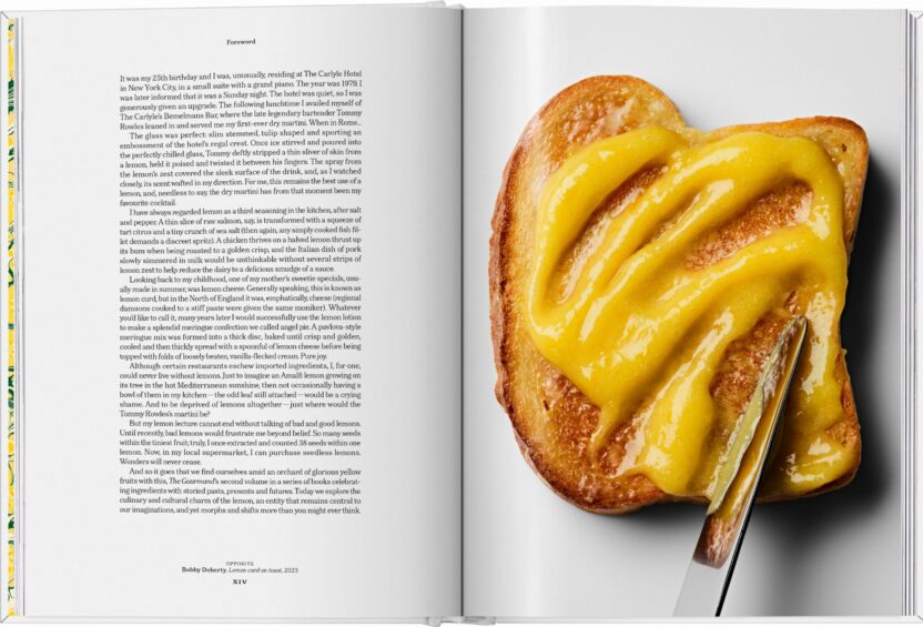 눈이 즐거운 음식에 관한 아트북 5 15 GOURMAND LEMON VA GB OPEN001 014 015 08024